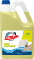 LINDOR PROFESSSIONAL ACIDO TAMPONATO LT 5